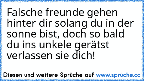 Falsche freunde gehen hinter dir solang du in der sonne bist, doch so bald du ins unkele gerätst verlassen sie dich!