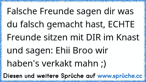 Falsche Freunde sagen dir was du falsch gemacht hast, ECHTE Freunde sitzen mit DIR im Knast und sagen: Ehii Broo wir haben's verkakt mahn ;)