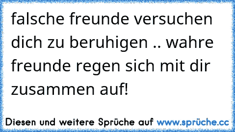 falsche freunde versuchen dich zu beruhigen .. wahre freunde regen sich mit dir zusammen auf!