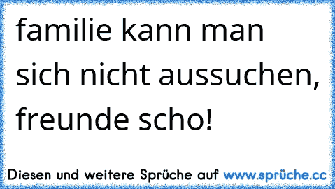 familie kann man sich nicht aussuchen, freunde scho! ♥