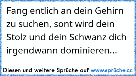 Fang entlich an dein Gehirn zu suchen, sont wird dein Stolz und dein Schwanz dich irgendwann dominieren...