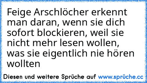 Feige Arschlöcher erkennt man daran, wenn sie dich sofort blockieren, weil sie nicht mehr lesen wollen, was sie eigentlich nie hören wollten