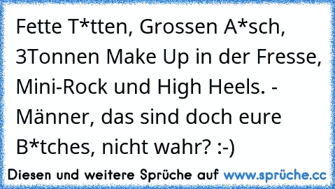 Fette T*tten, Grossen A*sch, 3Tonnen Make Up in der Fresse, Mini-Rock und High Heels. - Männer, das sind doch eure B*tches, nicht wahr? :-)