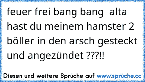 feuer frei bang bang  
alta hast du meinem hamster 2 böller in den arsch gesteckt und angezündet ???!!