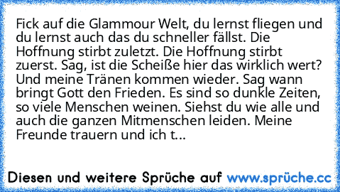 Fick auf die Glammour Welt, du lernst fliegen und du lernst auch das du schneller fällst. Die Hoffnung stirbt zuletzt. Die Hoffnung stirbt zuerst. Sag, ist die Scheiße hier das wirklich wert? Und meine Tränen kommen wieder. Sag wann bringt Gott den Frieden. Es sind so dunkle Zeiten, so viele Menschen weinen. Siehst du wie alle und auch die ganzen Mitmenschen leiden. Meine Freunde trauern und ic...