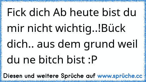 Fick dich Ab heute bist du mir nicht wichtig..!
Bück dich.. aus dem grund weil du ne bitch bist :P