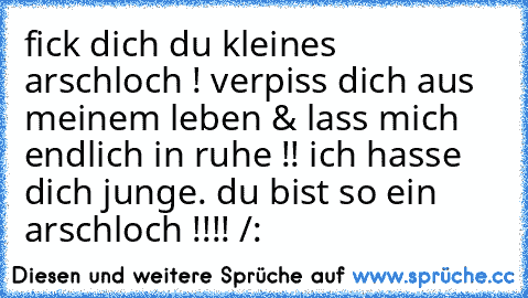 fick dich du kleines arschloch ! verpiss dich aus meinem leben & lass mich endlich in ruhe !! ich hasse dich junge. du bist so ein arschloch !!!! /: