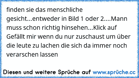 finden sie das menschliche gesicht...entweder in Bild 1 oder 2....Mann muss schon richtig hinsehen...Klick auf Gefällt mir wenn du nur zuschaust um über die leute zu lachen die sich da immer noch verarschen lassen