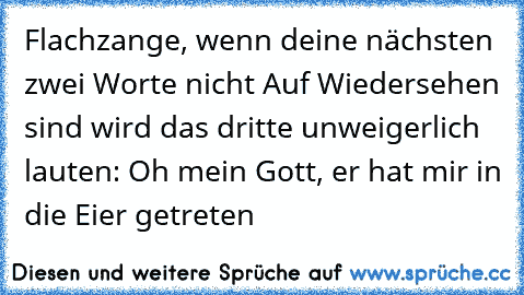 Flachzange, wenn deine nächsten zwei Worte nicht »Auf Wiedersehen« sind wird das dritte unweigerlich lauten: Oh mein Gott, er hat mir in die Eier getreten