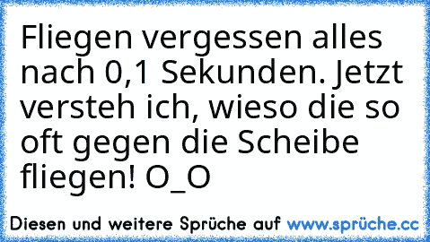 Fliegen vergessen alles nach 0,1 Sekunden. Jetzt versteh ich, wieso die so oft gegen die Scheibe fliegen! O_O