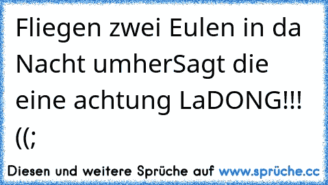 Fliegen zwei Eulen in da Nacht umher
Sagt die eine achtung LaDONG!!! ((;