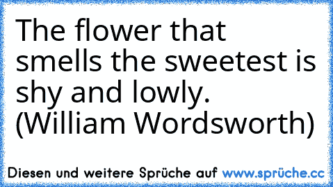 The flower that smells the sweetest is shy and lowly. (William Wordsworth)