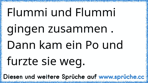 Flummi und Flummi gingen zusammen . Dann kam ein Po und furzte sie weg.