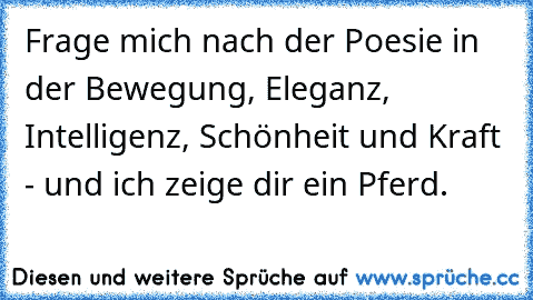 Frage mich nach der Poesie in der Bewegung, Eleganz, Intelligenz, Schönheit und Kraft - und ich zeige dir ein Pferd.