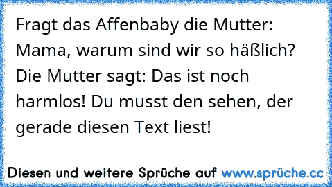 Fragt das Affenbaby die Mutter: Mama, warum sind wir so häßlich? Die Mutter sagt: Das ist noch harmlos! Du musst den sehen, der gerade diesen Text liest!