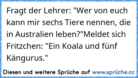 Fragt der Lehrer: "Wer von euch kann mir sechs Tiere nennen, die in Australien leben?"
Meldet sich Fritzchen: "Ein Koala und fünf Kängurus."