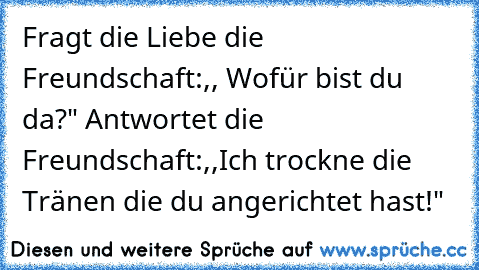 Fragt die Liebe die Freundschaft:,, Wofür bist du da?" Antwortet die Freundschaft:,,Ich trockne die Tränen die du angerichtet hast!" ♥