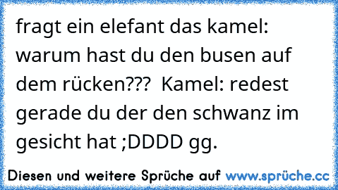 fragt ein elefant das kamel: warum hast du den busen auf dem rücken???  Kamel: redest gerade du der den schwanz im gesicht hat ;DDDD gg.