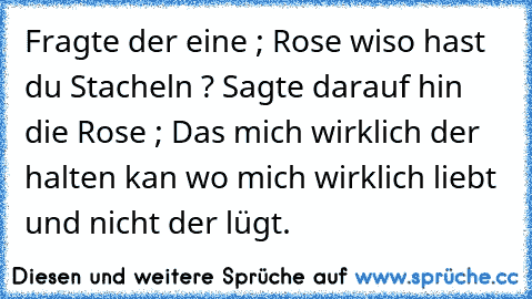 Fragte der eine ; Rose wiso hast du Stacheln ? Sagte darauf hin die Rose ; Das mich wirklich der halten kan wo mich wirklich liebt und nicht der lügt.