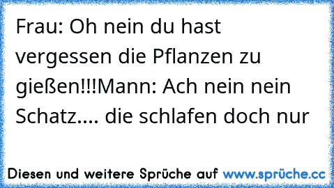 Frau: Oh nein du hast vergessen die Pflanzen zu gießen!!!
Mann: Ach nein nein Schatz.... die schlafen doch nur