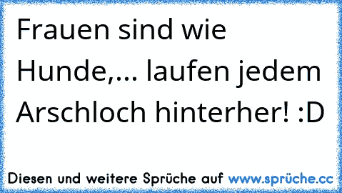 Frauen sind wie Hunde,... laufen jedem Arschloch hinterher! :D