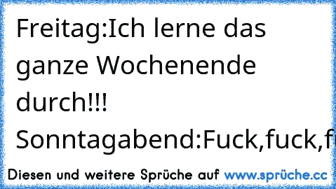 Freitag:Ich lerne das ganze Wochenende durch!!!       Sonntagabend:Fuck,fuck,fuck!!!^^