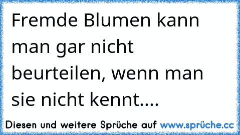 Fremde Blumen kann man gar nicht beurteilen, wenn man sie nicht kennt....