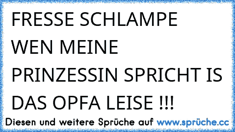 FRESSE SCHLAMPE WEN MEINE PRINZESSIN SPRICHT IS DAS OPFA LEISE !!!