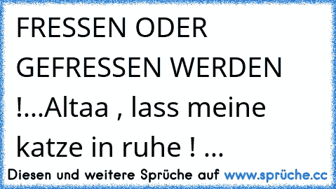 FRESSEN ODER GEFRESSEN WERDEN !...
Altaa , lass meine katze in ruhe ! ...