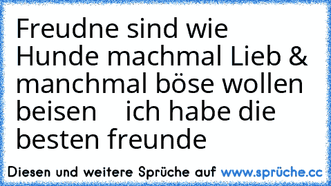 Freudne sind wie Hunde machmal Lieb & manchmal böse wollen beisen  ♥ ♥ ich habe die besten freunde  ♥ ♥