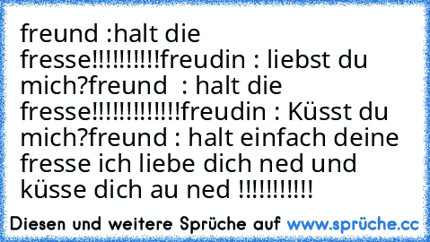 freund :halt die fresse!!!!!!!!!!
freudin : liebst du mich?
freund  : halt die fresse!!!!!!!!!!!!!
freudin : Küsst du mich?
freund : halt einfach deine fresse ich liebe dich ned und küsse dich au ned !!!!!!!!!!!