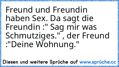 Freund und Freundin haben Sex. Da sagt die Freundin :" Sag mir was Schmutziges." , der Freund :"Deine Wohnung."