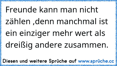 Freunde kann man nicht zählen ,denn manchmal ist ein einziger mehr wert als dreißig andere zusammen.♥