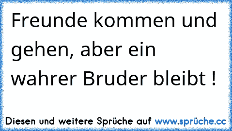 Freunde kommen und gehen, aber ein wahrer Bruder bleibt !