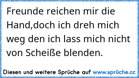 Freunde reichen mir die Hand,doch ich dreh mich weg den ich lass mich nicht von Scheiße blenden.