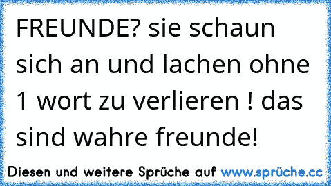 FREUNDE? sie schaun sich an und lachen ohne 1 wort zu verlieren ! das sind wahre freunde!