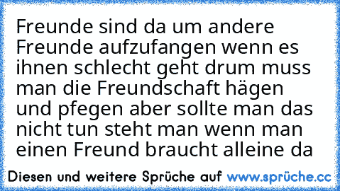 Freunde sind da um andere Freunde aufzufangen wenn es ihnen schlecht geht drum muss man die Freundschaft hägen und pfegen aber sollte man das nicht tun steht man wenn man einen Freund braucht alleine da