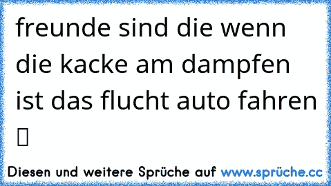 freunde sind die wenn die kacke am dampfen ist das flucht auto fahren ツ