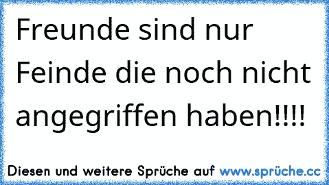 Freunde sind nur Feinde die noch nicht angegriffen haben!!!!