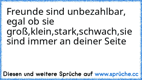 Freunde sind unbezahlbar, egal ob sie groß,klein,stark,schwach,sie sind immer an deiner Seite ♥