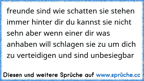 freunde sind wie schatten sie stehen immer hinter dir du kannst sie nicht sehn aber wenn einer dir was anhaben will schlagen sie zu um dich zu verteidigen und sind unbesiegbar