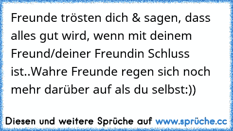 Freunde trösten dich & sagen, dass alles gut wird, wenn mit deinem Freund/deiner Freundin Schluss ist..
Wahre Freunde regen sich noch mehr darüber auf als du selbst:))