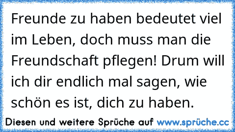 Freunde zu haben bedeutet viel im Leben, doch muss man die Freundschaft pflegen! Drum will ich dir endlich mal sagen, wie schön es ist, dich zu haben.