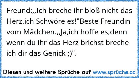 Freund:,,Ich breche ihr bloß nicht das Herz,ich Schwöre es!"Beste Freundin vom Mädchen.,,Ja,ich hoffe es,denn wenn du ihr das Herz brichst breche ich dir das Genick ;)".