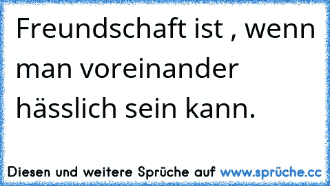 Freundschaft ist , wenn man voreinander hässlich sein kann.