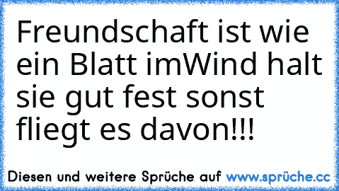 Freundschaft ist wie ein Blatt im
Wind halt sie gut fest sonst fliegt es davon!!!