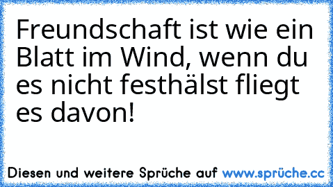 Freundschaft ist wie ein Blatt im Wind, wenn du es nicht festhälst fliegt es davon!