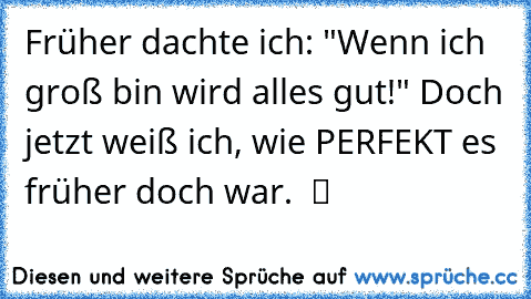 Früher dachte ich: "Wenn ich groß bin wird alles gut!" Doch jetzt weiß ich, wie PERFEKT es früher doch war. ♥ ツ