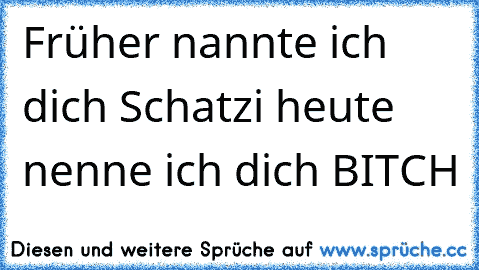 Früher nannte ich dich Schatzi heute nenne ich dich BITCH