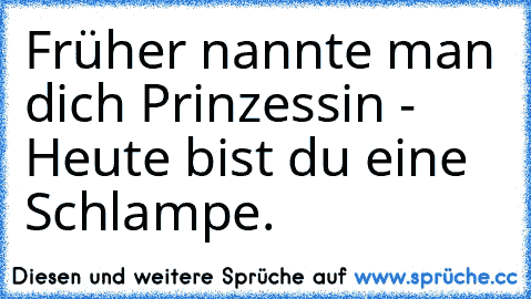 Früher nannte man dich Prinzessin - Heute bist du eine Schlampe.